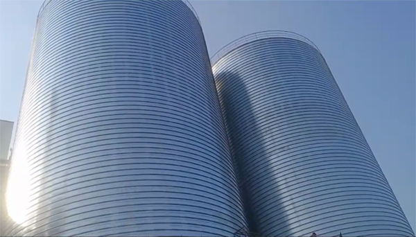 拉孜2座混凝土高架卷板仓